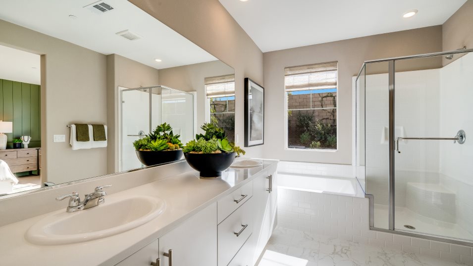 owners suite bathroom