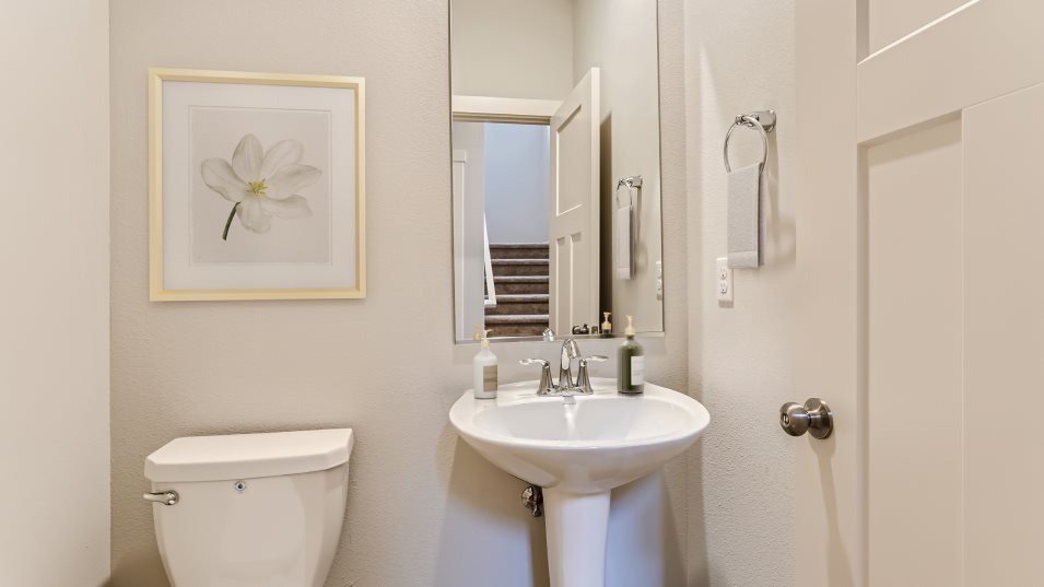 Calloway Powder Room