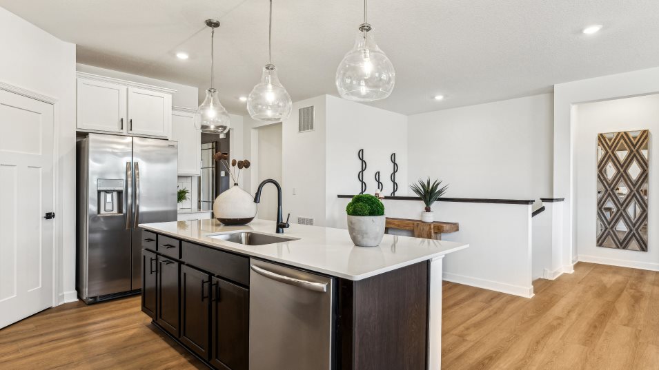 Aster Kitchen