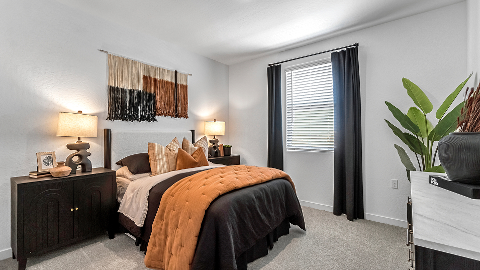 2502 Draco Bed2 1of2 F2 Base2