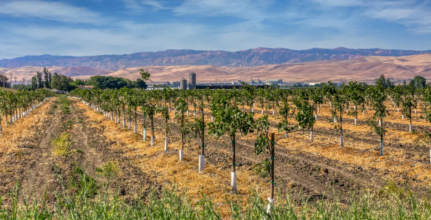 local farms