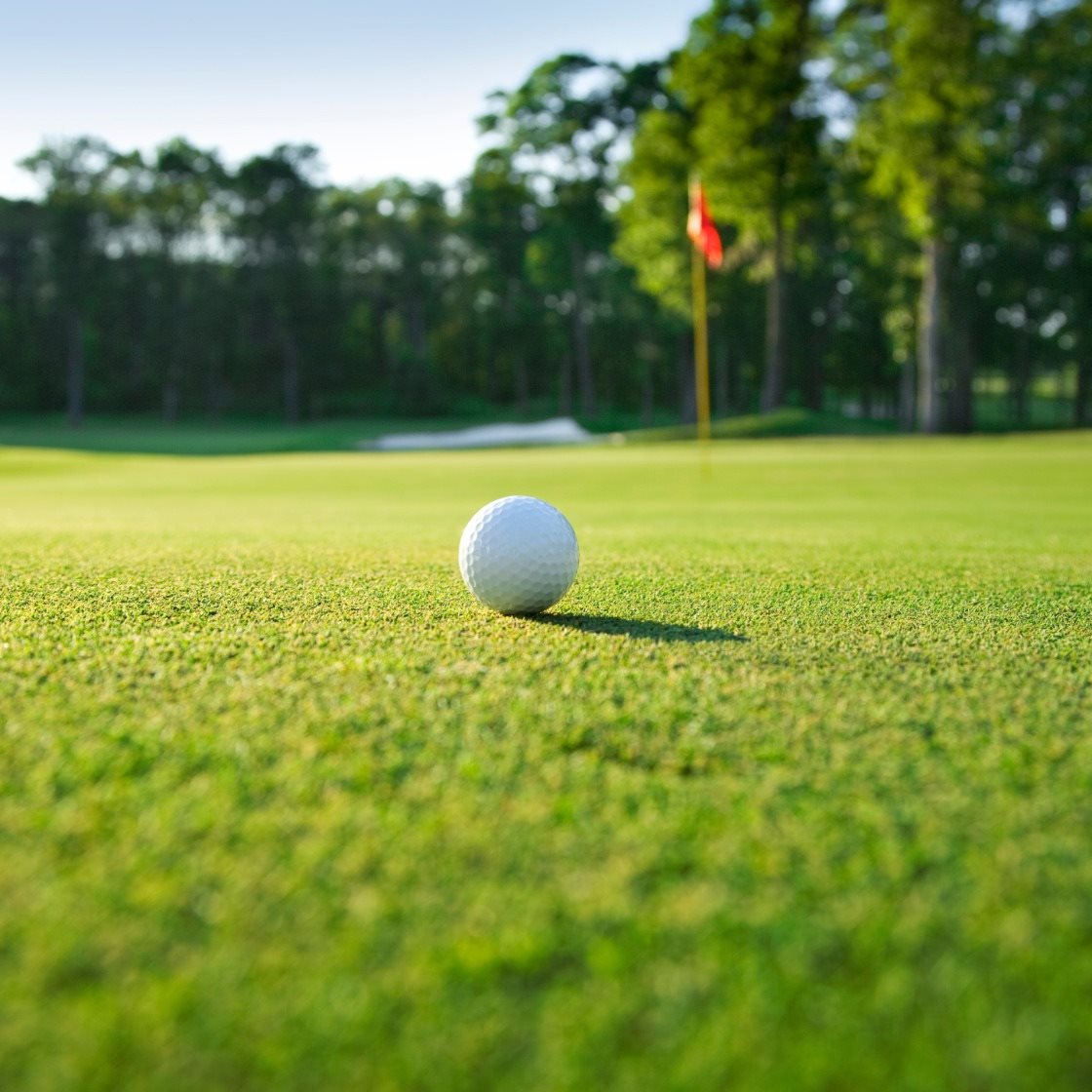 Golf Ball on Golf Course