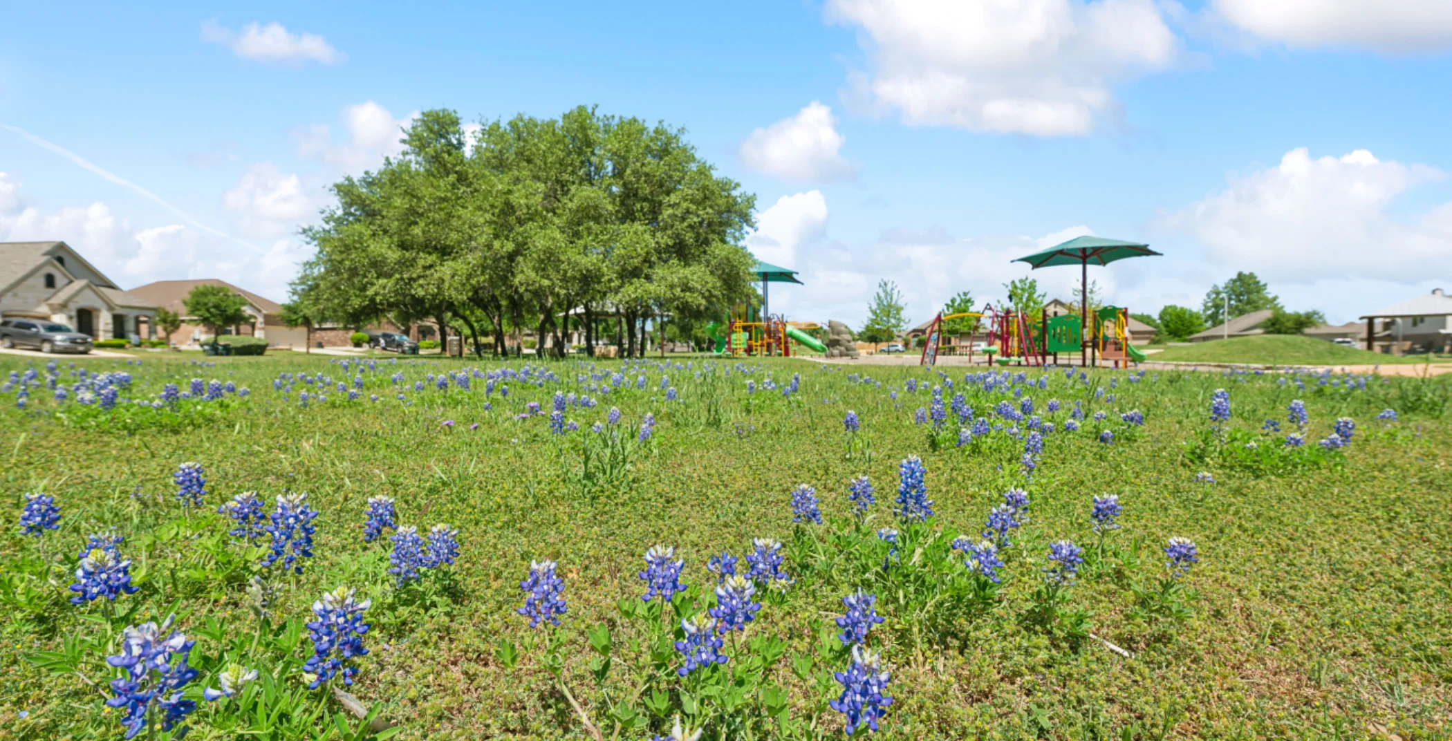 Local Park