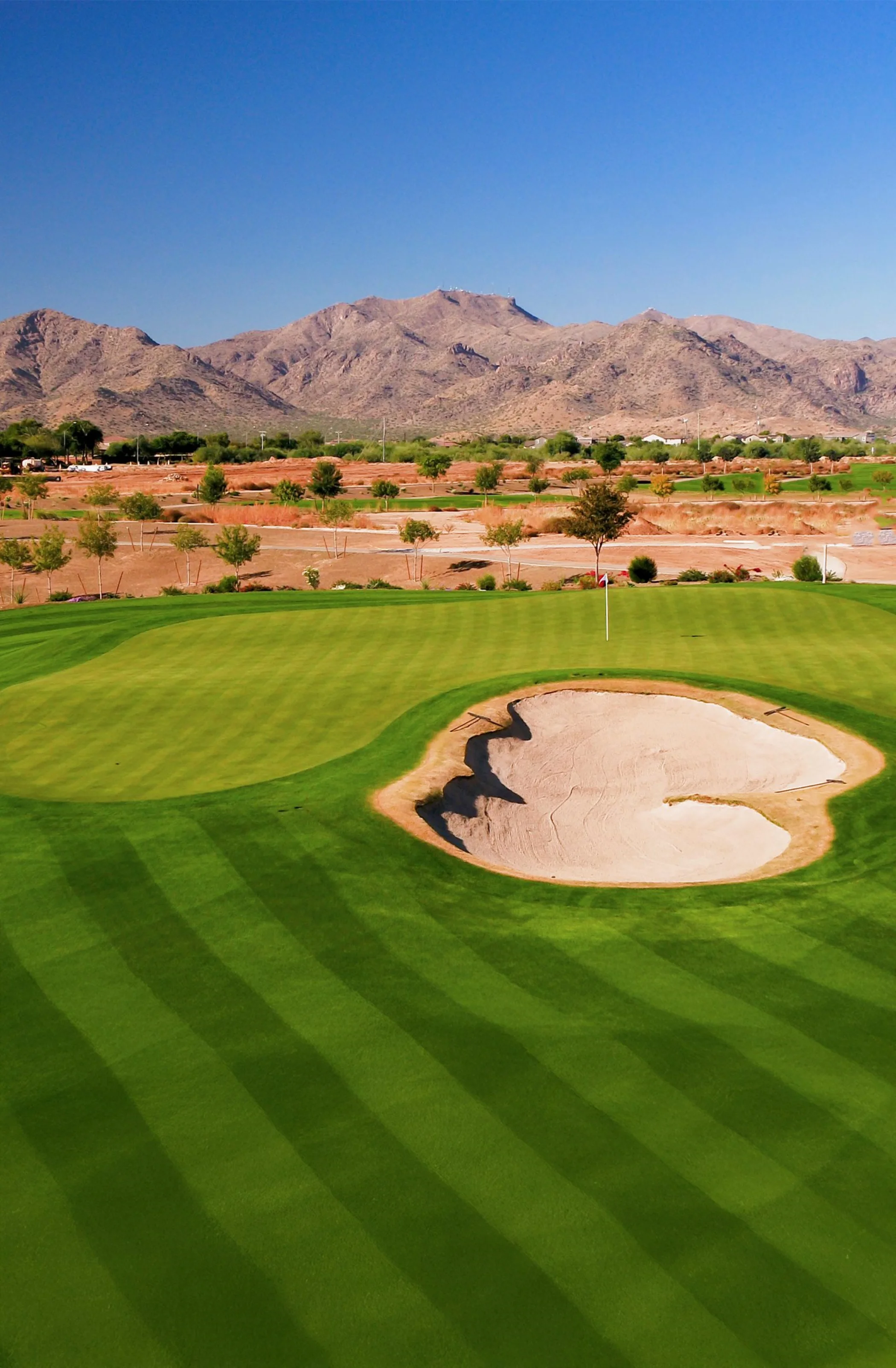 Arizona State
