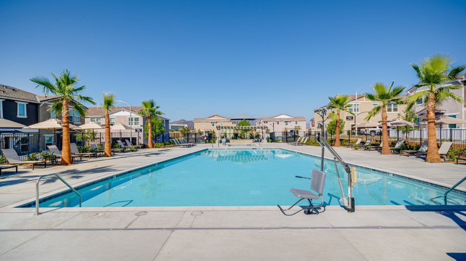 Swimming pool amenity