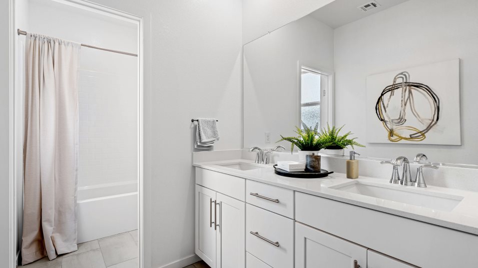 Diana Bathroom 2
