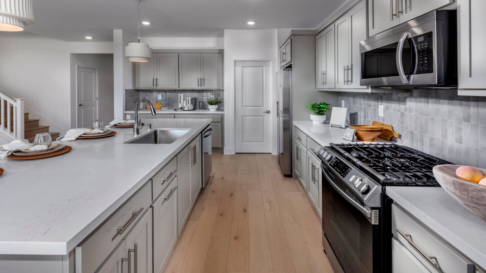 Residence 3 Kitchen