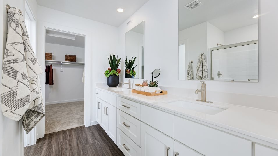 Plan 2292 Owner's Suite