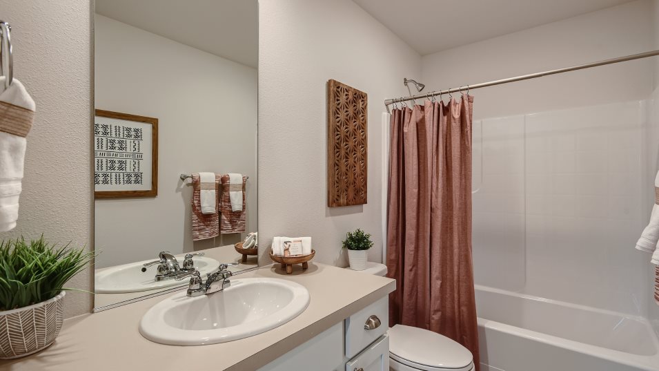 Bathroom with combination shower and tub