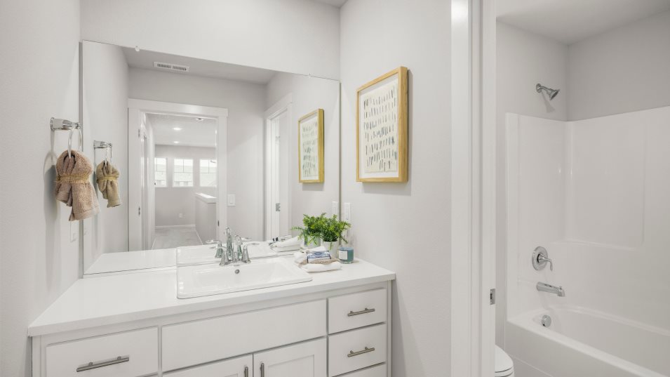 Arlington Bathroom 2