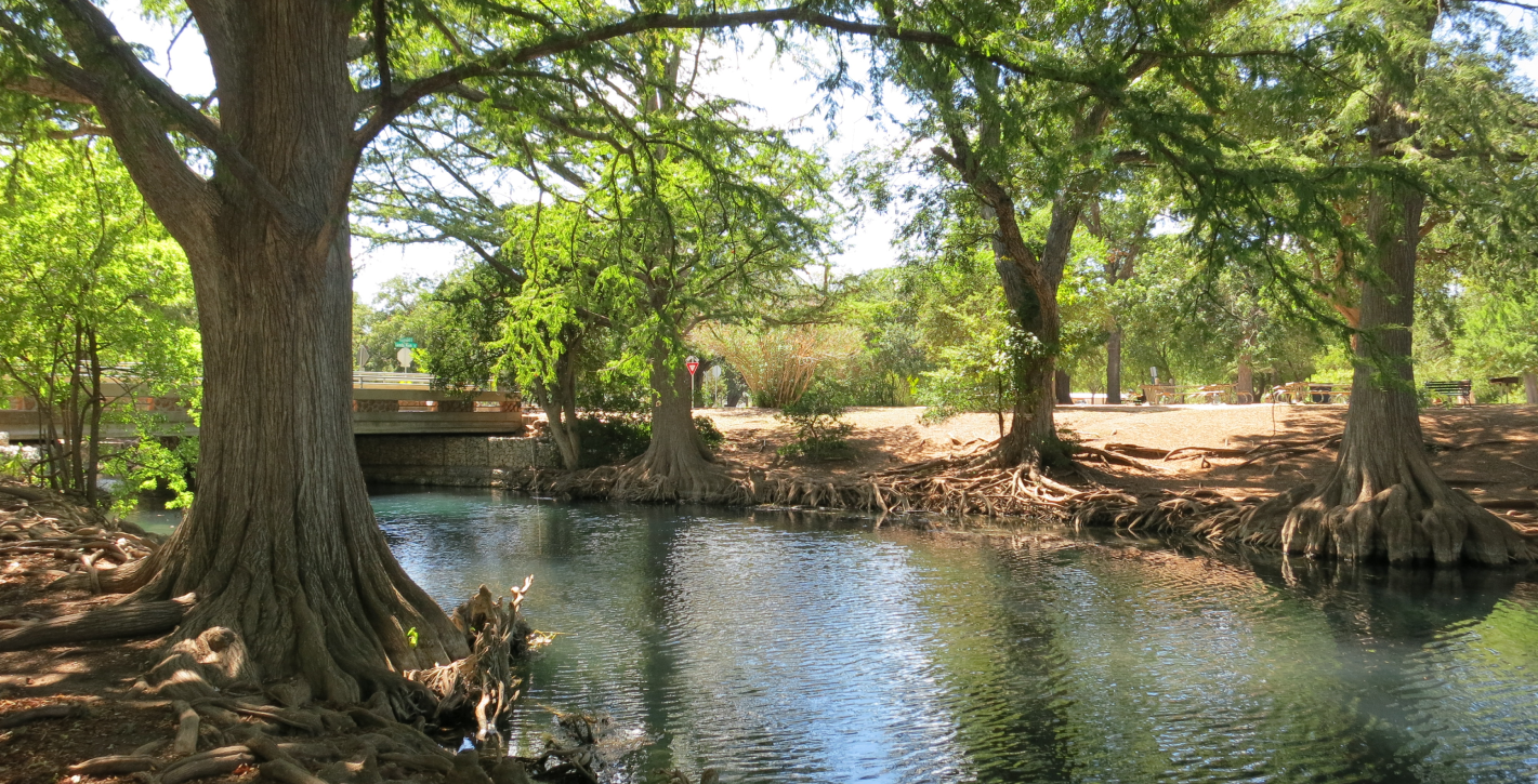 Local River