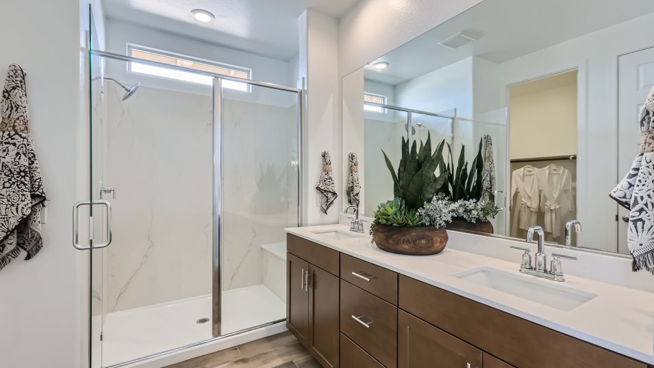 Owners bathroom shower