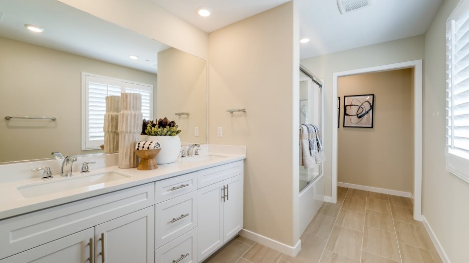 Owners bathroom