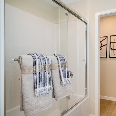 Owners bathroom shower