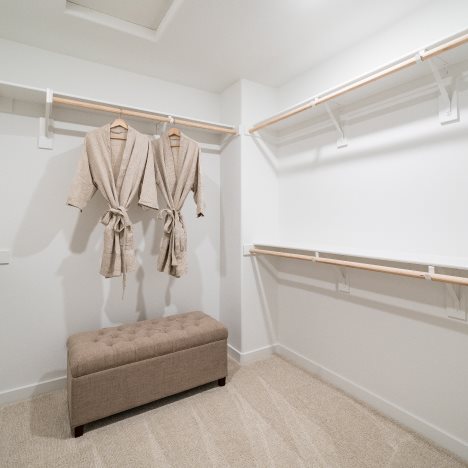 Owners walk in closet