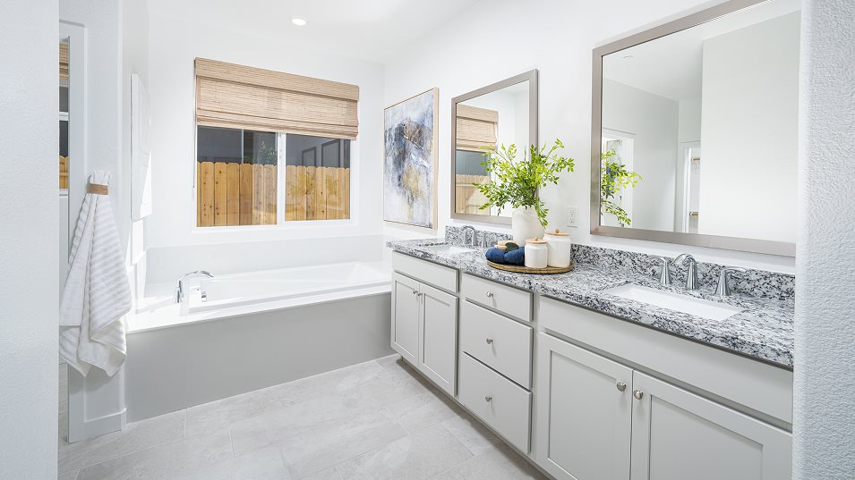 Owners suite bathroom