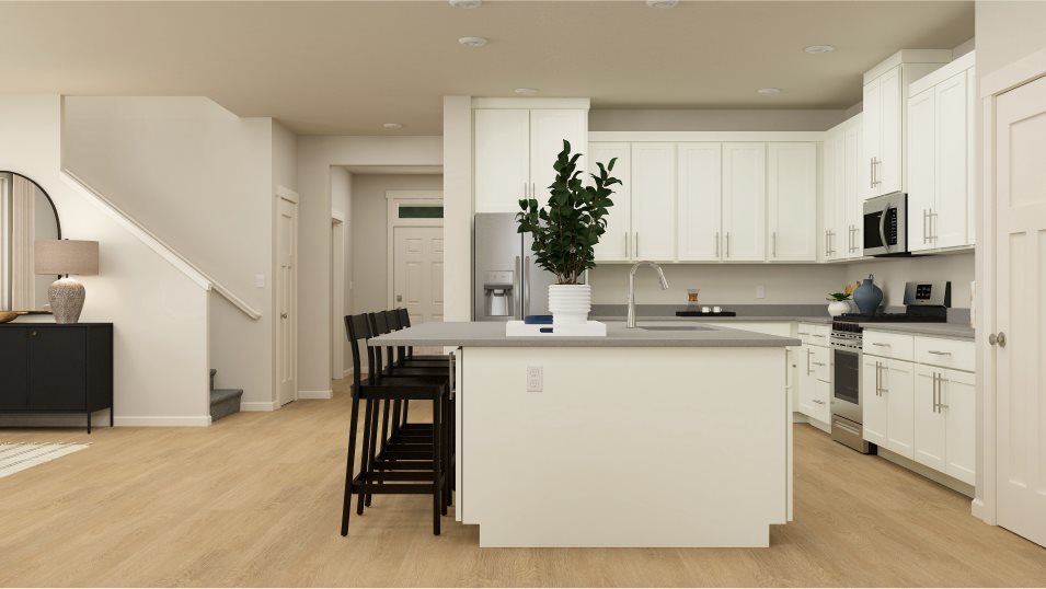 Sellwood kitchen