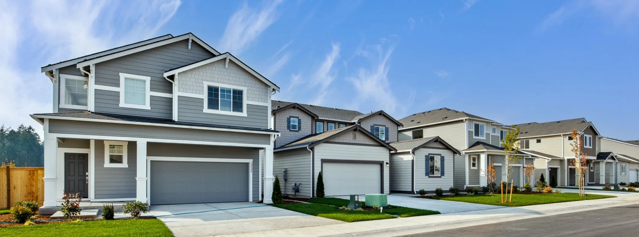 Homes in the community