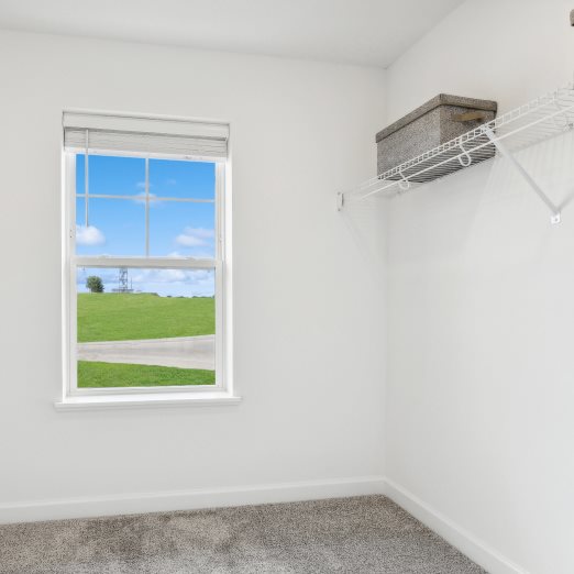 Franklin Owners Walk in Closet