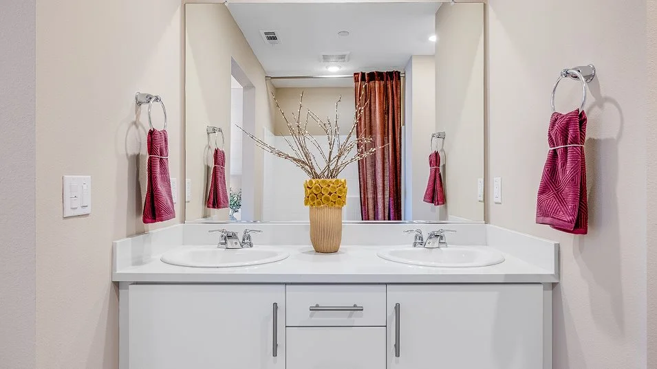 Owners suite bathroom sinks