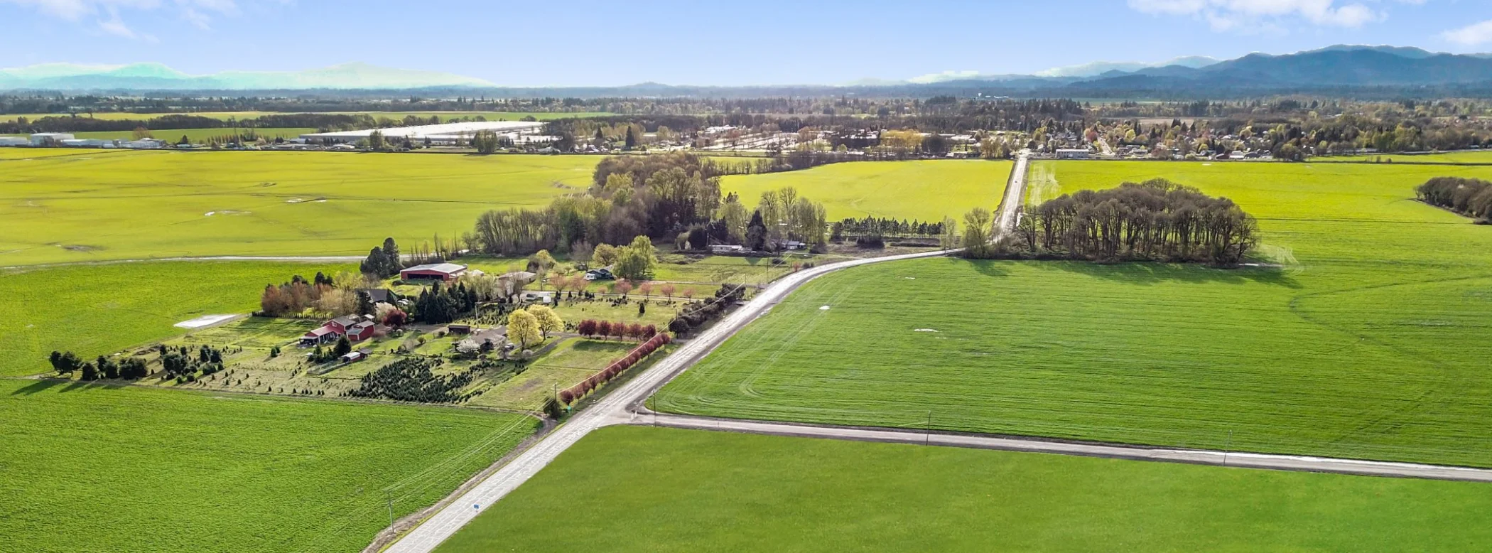 View of the community