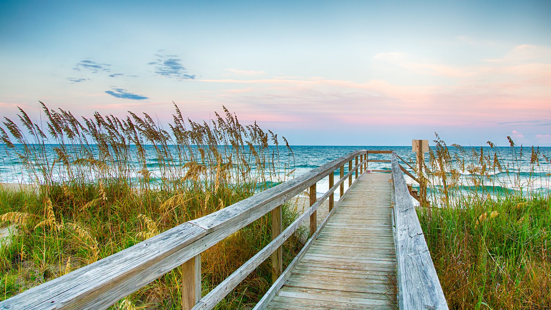 Cameron Woods Wilmington Beach 1920x1080