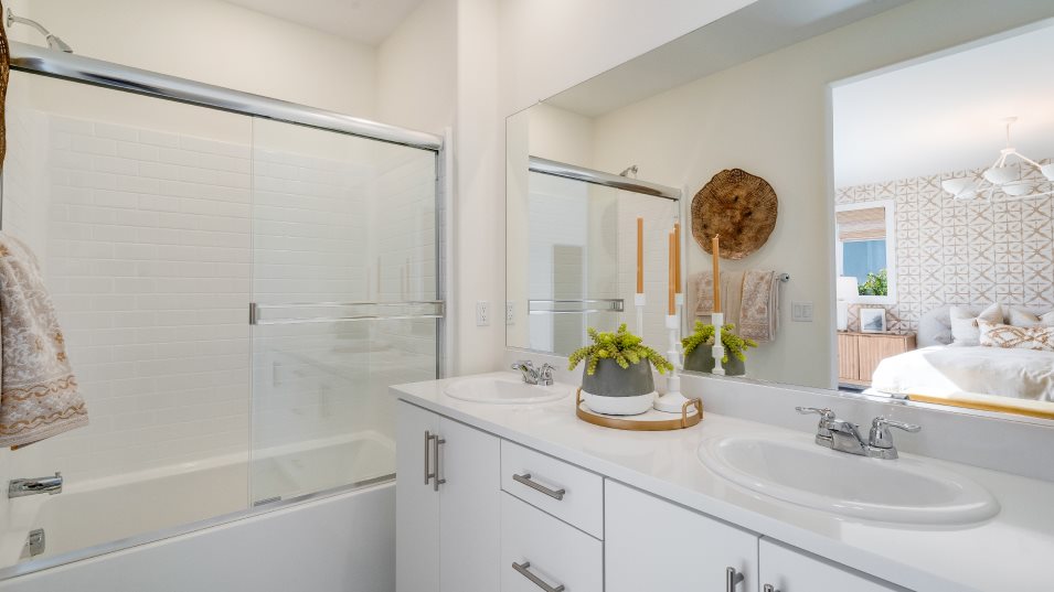 Owners bathroom