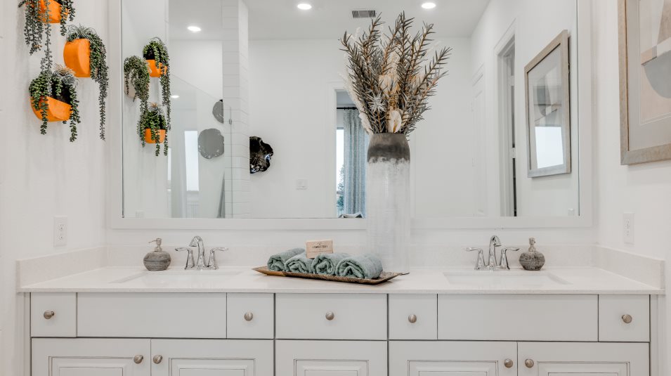 Kimball Dual sinks