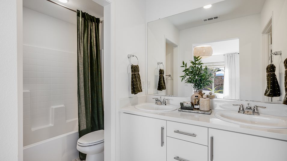 Owners suite bathroom shower