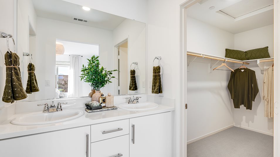 Owners suite bathroom sinks and closet