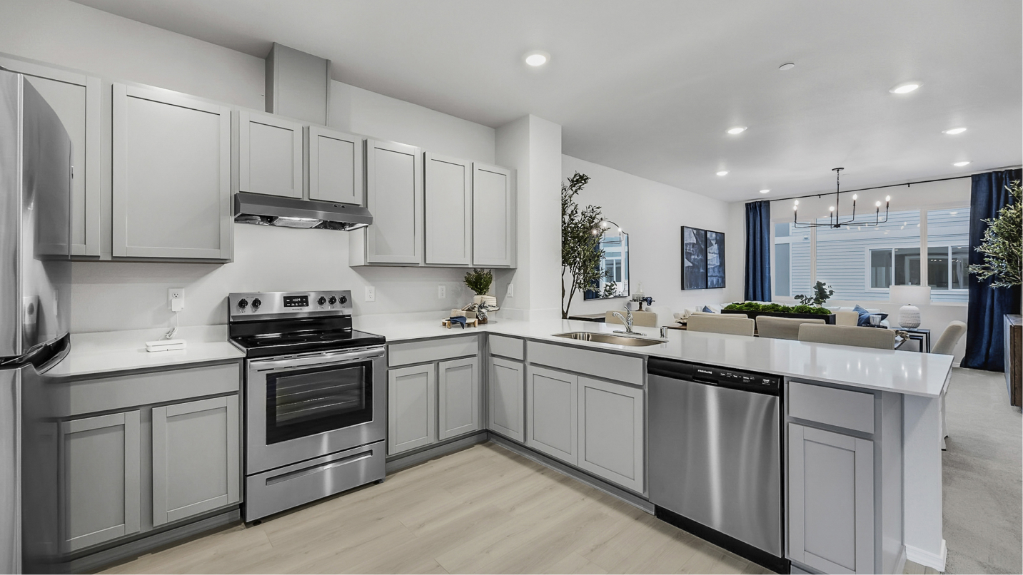 1611 Fern Kitchen 2of6 F2