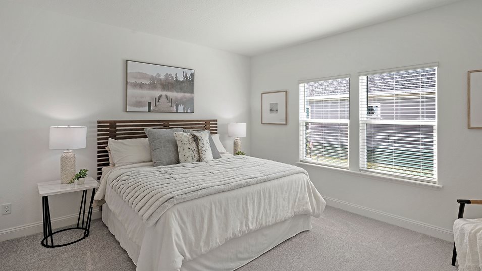 Hailey II Owner's Suite