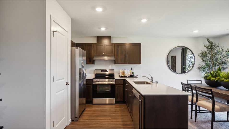 Damian Kitchen