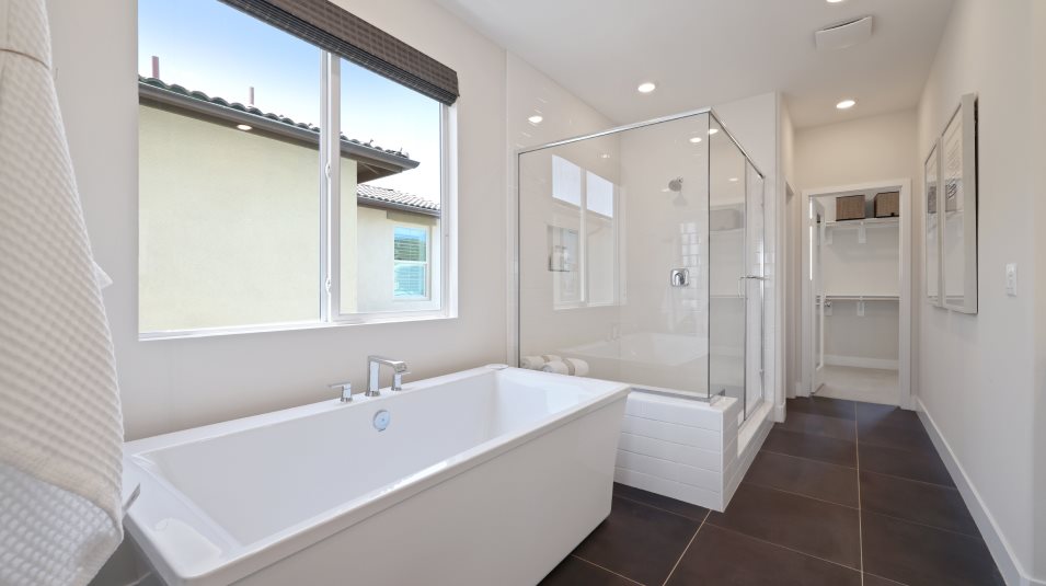 Owner's suite tub and separate shower