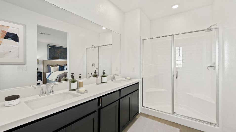 Owner's bathroom interior