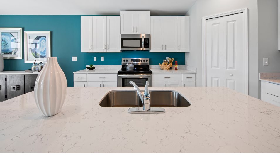 Quartz kitchen counters
