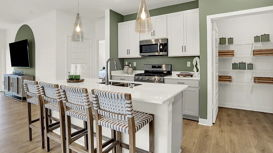 4234 Chapman Kitchen 2of5 F1
