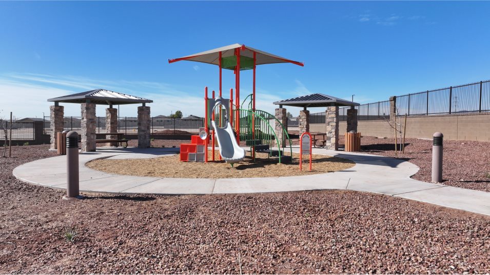 jungle gym at the playground