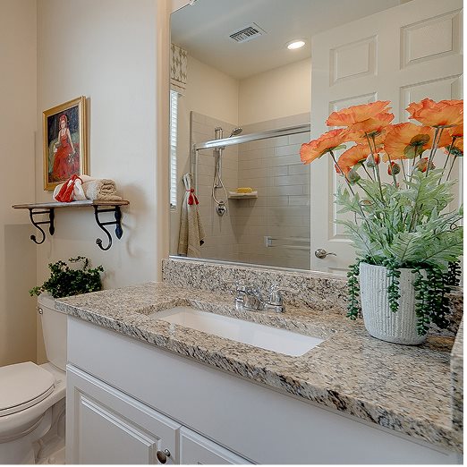 Desert Willow Next Gen Bathroom