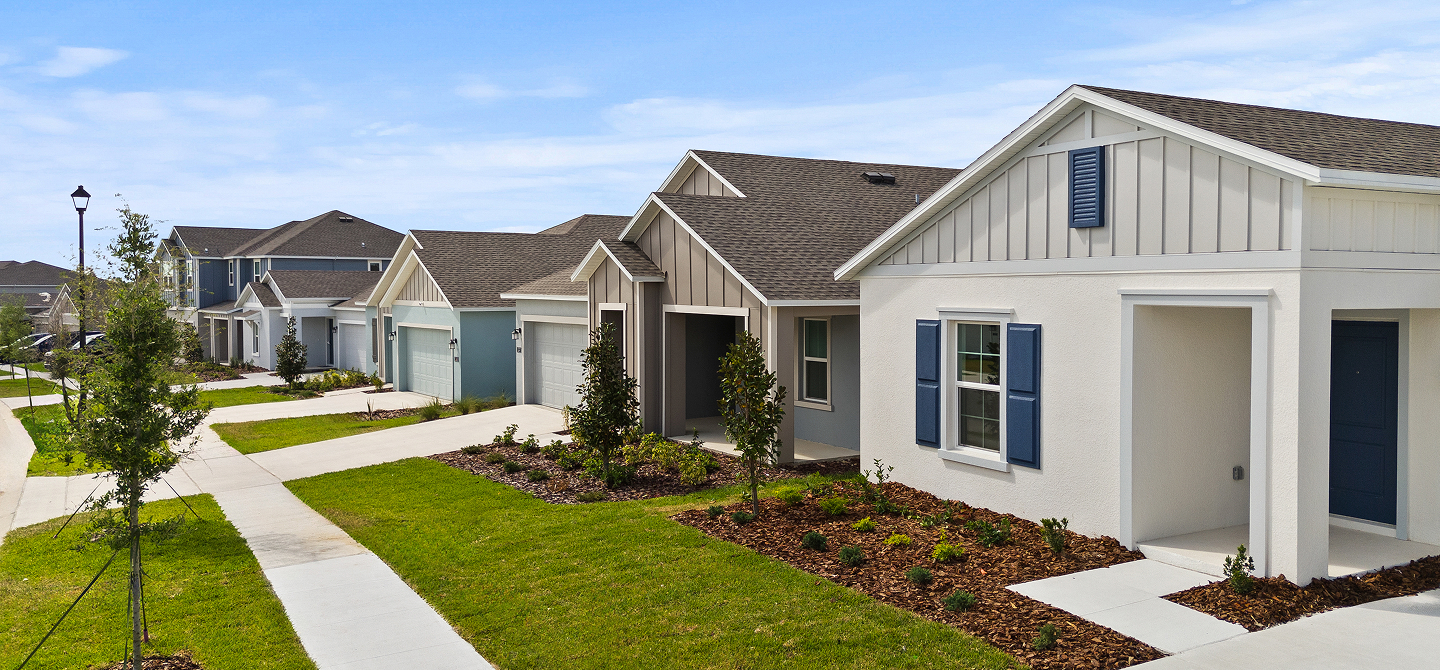 Meadow Pointe Streetscape 5 16 25