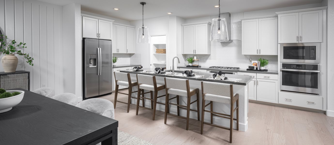 Residence 2793 Kitchen