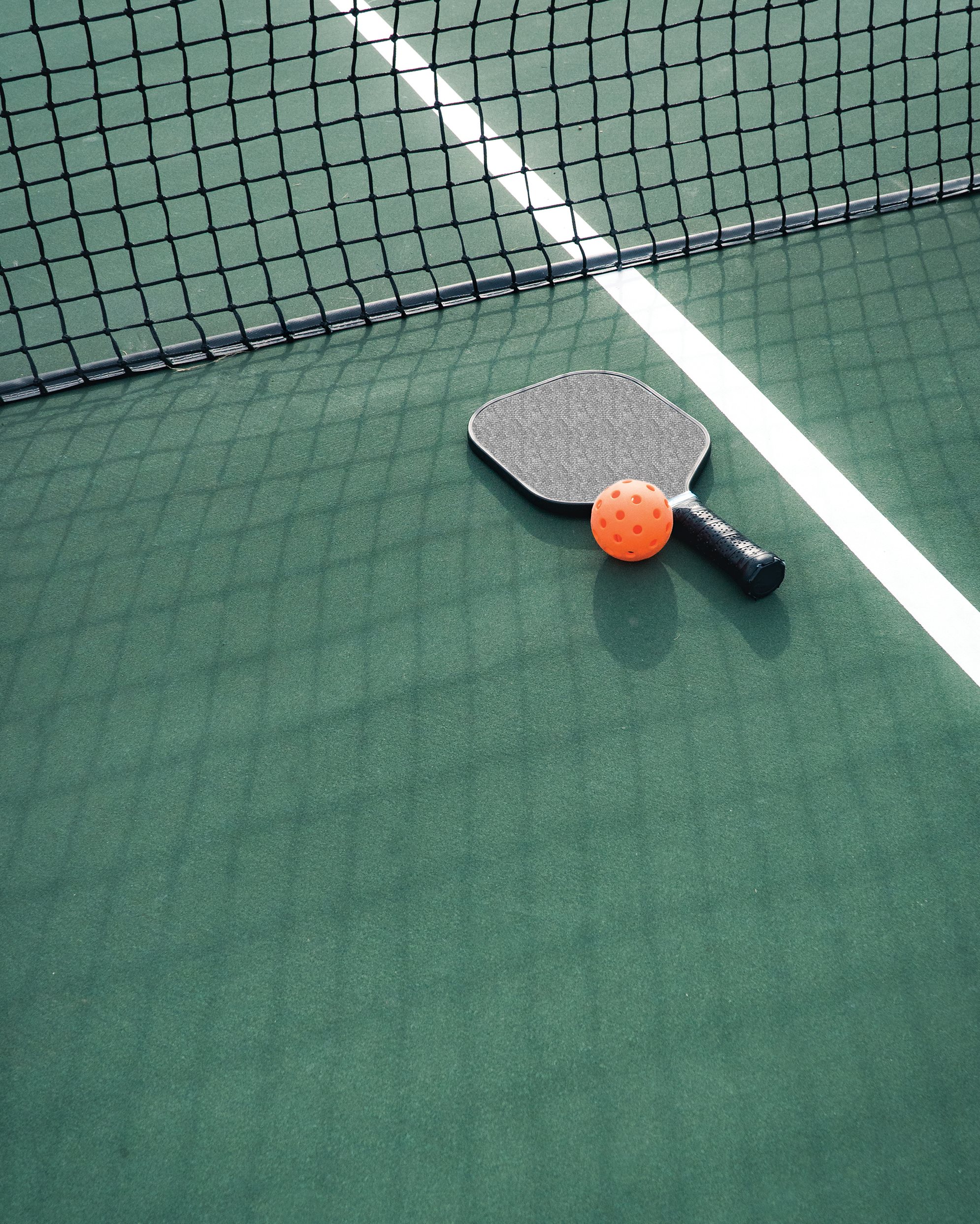 IMAGE: Pickleball Court