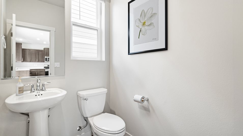 Ivy Powder Room