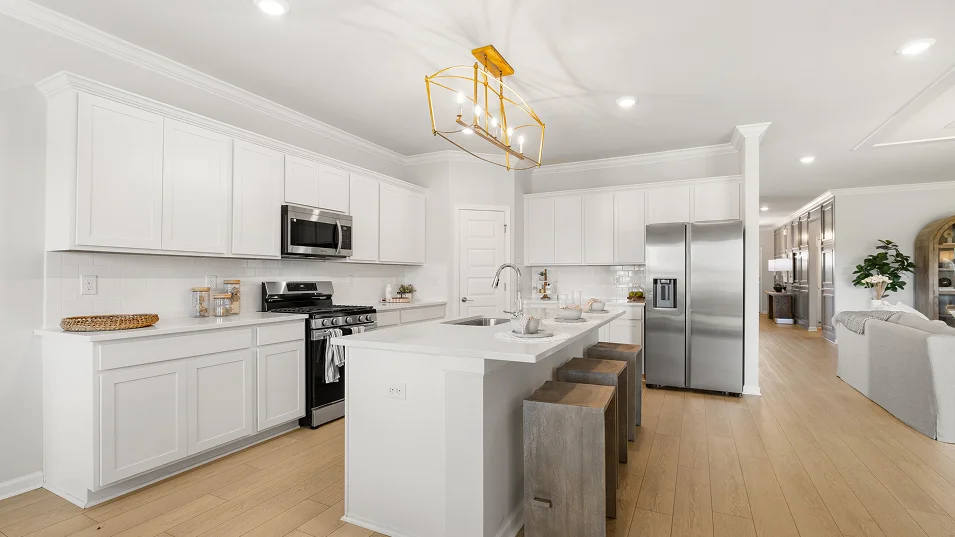 2572 Medallion II Kitchen 5of8 F1 8 27 25