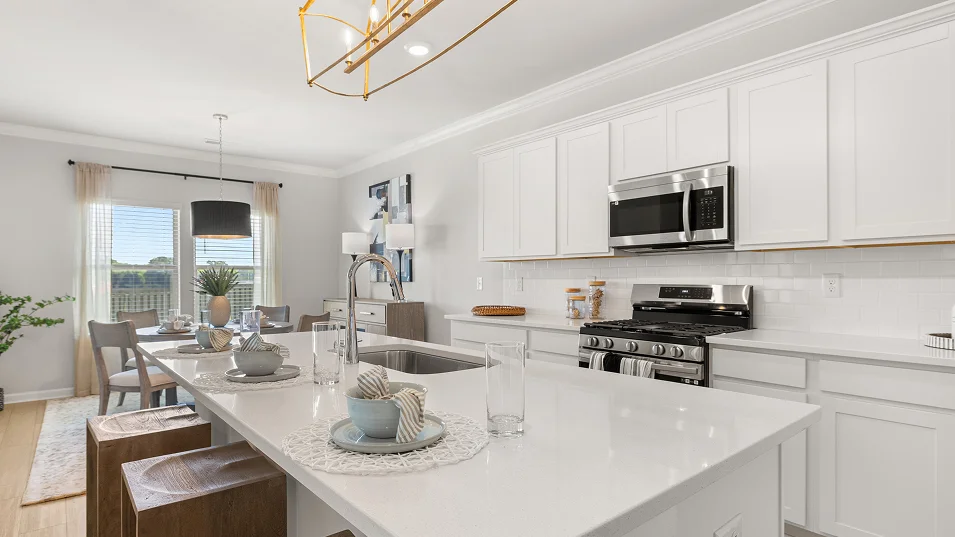 2572 Medallion II Kitchen 7of8 F1 8 27 25