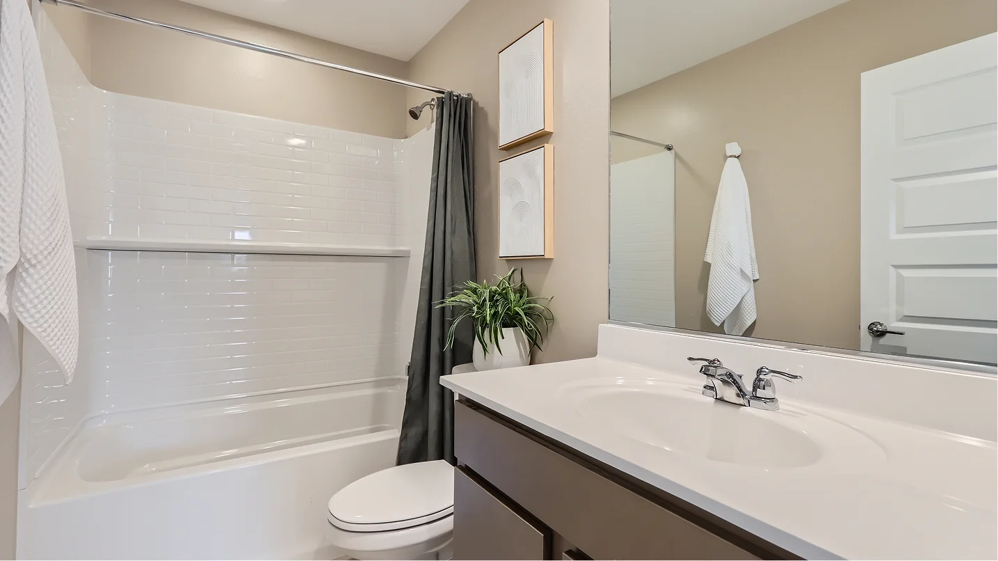 2569 Lilac Bath2 F1