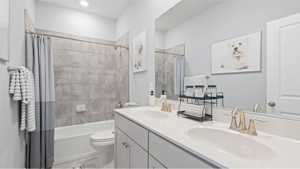 Columbia Basement Bathroom 2