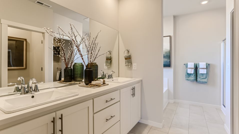 Owners Bath