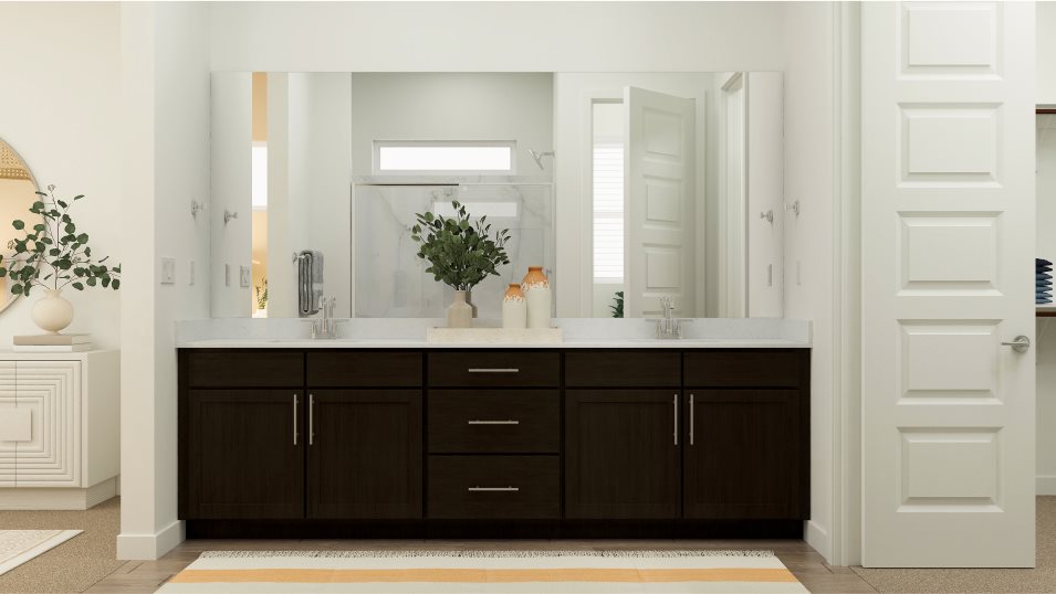 Owner's suite bathroom with dual sinks and walk-in closet access