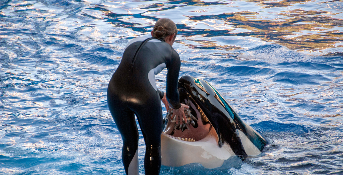 Stock Sea World Image
